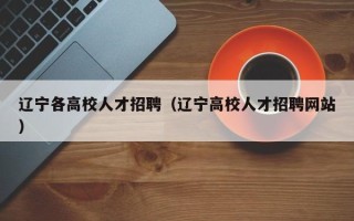 辽宁各高校人才招聘（辽宁高校人才招聘网站）