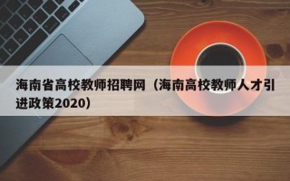 海南省高校教师招聘网（海南高校教师人才引进政策2020）