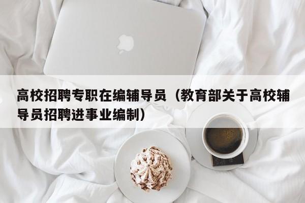 高校招聘专职在编辅导员（教育部关于高校辅导员招聘进事业编制）-第1张图片-高校招聘网