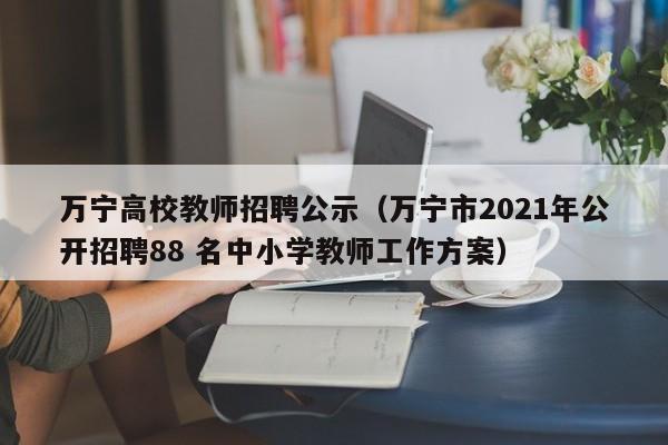 万宁高校教师招聘公示（万宁市2021年公开招聘88 名中小学教师工作方案）-第1张图片-高校招聘网