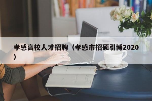 孝感高校人才招聘（孝感市招硕引博2020）-第1张图片-高校招聘网