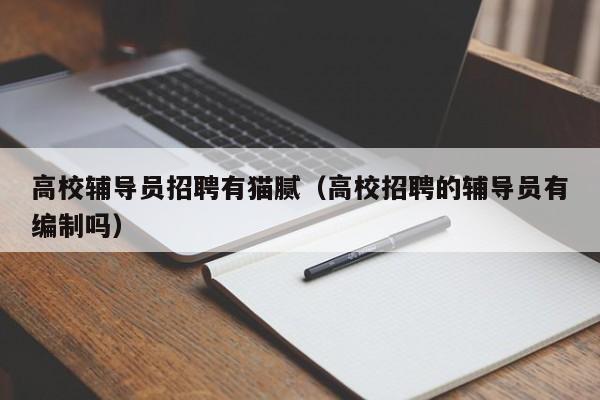 高校辅导员招聘有猫腻（高校招聘的辅导员有编制吗）-第1张图片-高校招聘网