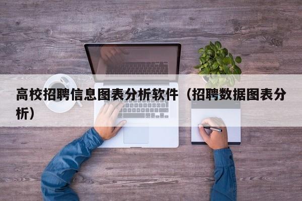 高校招聘信息图表分析软件（招聘数据图表分析）-第1张图片-高校招聘网