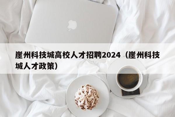 崖州科技城高校人才招聘2024（崖州科技城人才政策）-第1张图片-高校招聘网