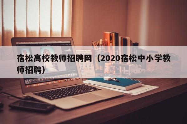 宿松高校教师招聘网（2020宿松中小学教师招聘）-第1张图片-高校招聘网